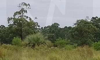 Imagem 6: Terreno à venda, no bairro Arroio proximo ao Campo Duda, Imbituba, SC