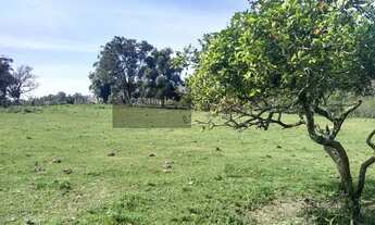 Imagem: Terreno para Venda em Nova Brasília Imbituba-SC