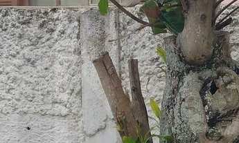 Imagem: Casa à venda no bairro Vila Nova - Imbituba/SC