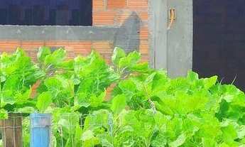 Imagem: Casa em construção com estrutura e vista