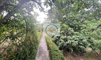 Imagem 3: Sítio a venda 02 ha povoado Cabrita , São Cristóvão-Sergipe