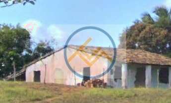 Imagem: Sítio à venda Povoado Saco da Raiz - Estância/SE