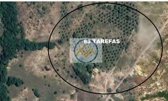 Imagem 2: Sítio à venda Povoado Saco da Raiz - Estância/SE