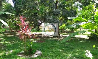 Imagem: Chácara com 2,5 tarefas em Itaporanga Dajuda