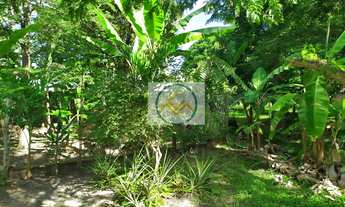 Imagem 2: Chácara com 2,5 tarefas em Itaporanga Dajuda