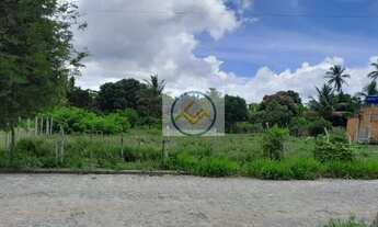 Imagem 3: Terreno à venda com 1290 m2 Povoado Salvadorzinho, Itaporanga Dajuda-Sergipe