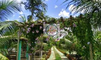 Imagem: Chácara a venda 3000 m2, Povoado Caibro