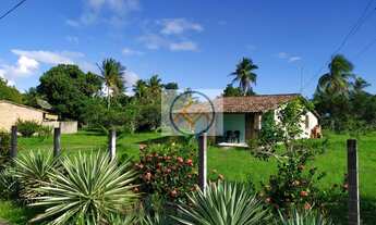 Imagem: Chácara à venda no bairro Povoado Chan