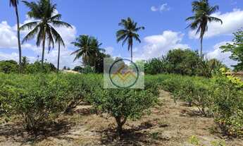 Imagem 7: Casa em Povoado Gravatá, Itaporanga DAjuda/SE