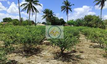 Imagem 6: Casa em Povoado Gravatá, Itaporanga DAjuda/SE