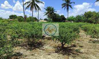 Imagem: Casa em Povoado Gravatá, Itaporanga DAjuda/SE