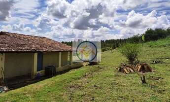 Imagem 4: Chácara a venda com 04 tarefas em Povoado Rio Fundo, Itaporanga DAjuda/SE