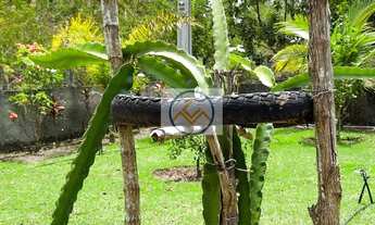 Imagem 7: Chácara em Salvadorzinho, Itaporanga DAjuda/SE