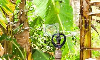 Imagem 4: Chácara em Salvadorzinho, Itaporanga DAjuda/SE