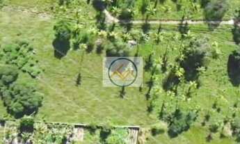 Imagem: Área Rural a venda com 07 tarefas no Povoado