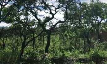 Imagem 5: Lote residencial 1000m2 pronto para construir Lagoa Mansões Lagoa Santa/MG