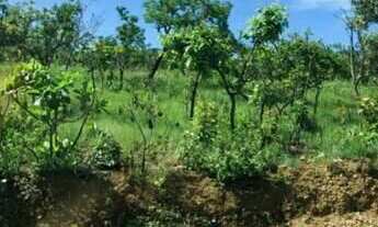 Imagem 6: Lote residencial 1000m2 pronto para construir Lagoa Mansões Lagoa Santa/MG