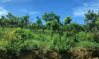 Imagem 4: Lote residencial 1000m2 pronto para construir Lagoa Mansões Lagoa Santa/MG