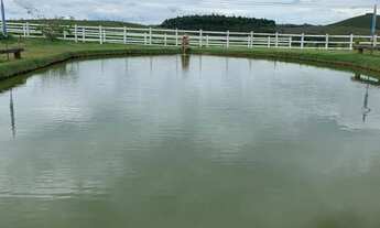Imagem: Fazenda 120 hectares em Padre Brito - Barbacena