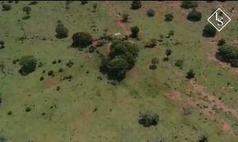 Imagem 6: Fazenda 191ha em Abaeté, plana, terra cultura, nascente