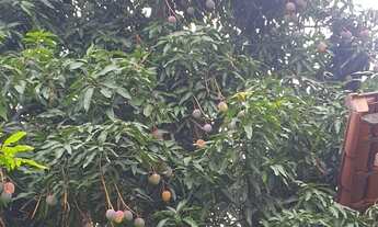 Imagem 2: Lote 397m2 Bairro Dona Clara - Belo Horizonte/MG em ótima localização, bem pertinho da Ave