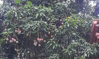 Imagem 6: Lote 397m2 Bairro Dona Clara - Belo Horizonte/MG em ótima localização, bem pertinho da Ave