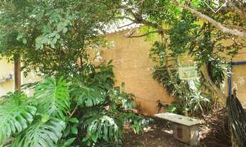 Imagem 3: Lote 397m2 Bairro Dona Clara - Belo Horizonte/MG em ótima localização, bem pertinho da Ave