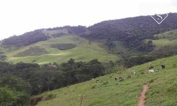 Imagem 3: Fazenda de 194 hectare em Porto Firme MG toda formada em braquiara e com água corrente