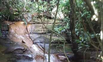 Imagem 2: Fazenda de 194 hectare em Porto Firme MG toda formada em braquiara e com água corrente