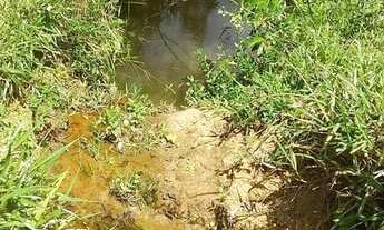 Imagem 6: Fazenda de 194 hectare em Porto Firme MG toda formada em braquiara e com água corrente