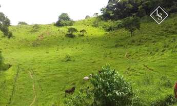 Imagem 5: Fazenda de 194 hectare em Porto Firme MG toda formada em braquiara e com água corrente