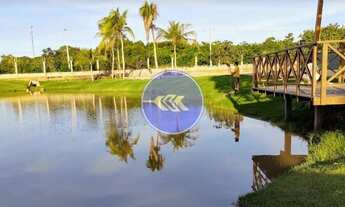 Imagem 5: Amplo terreno com 375,18m² no Terra Brasilis