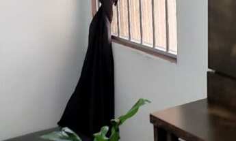 Imagem 6: Apartamento Padrão para Venda em Parque São Jorge Campinas-SP