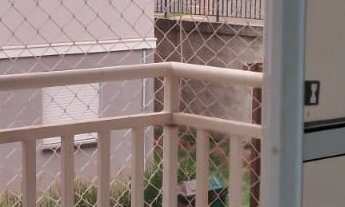 Imagem 3: Apartamento em Residencial Novo Tempo, Campinas/SP