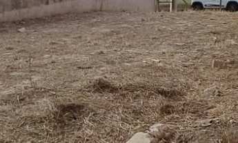 Imagem 4: Terreno Lote em Residencial Parque da Fazenda, Campinas/SP