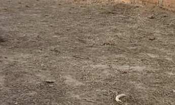 Imagem 3: Terreno Lote em Residencial Parque da Fazenda, Campinas/SP