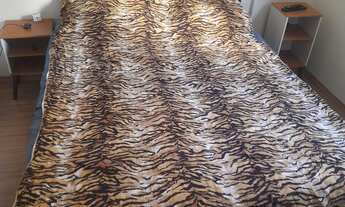 Imagem 6: Apartamento Botafogo, Campinas/SP