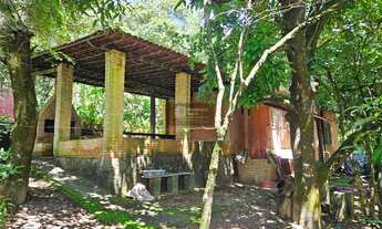 Imagem: Chácara 5.000m² Quinta das Palmeiras Pedro