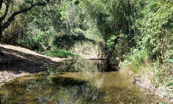 Imagem: Sítio com 10 Alqueires - Bom Jesus dos