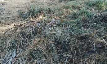 Imagem 7: Ótimo Terreno para Chácara no Vale das Flores - Atibaia