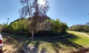 Imagem 7: Oportunidade de Terreno