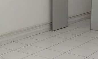 Imagem 5: Galpão com ótimo custo x benefício