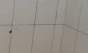 Imagem 2: Casa em Condomínio à venda 2 quartos, 2 vagas descobertas, 54 m2, Parque Santo Antônio - J