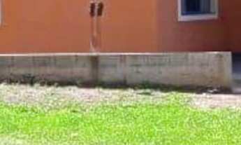 Imagem: Área à venda com 1 casa, 7.900 m2, Nazaré