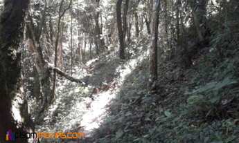 Imagem 3: Área Rural à venda de 348.000 m2, Macuco - Cunha/SP