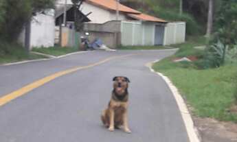 Imagem: Terreno á venda 265 m2, Paraibuna/SP