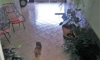 Imagem: Casa à venda 3 quartos, 1 suíte, 4 vagas