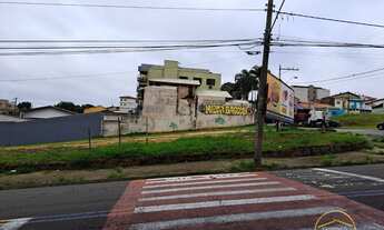 Imagem 4: Terrenos a venda Jardim Ferreira Próximo ao Mercado Distrital