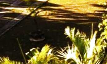 Imagem: Chácara com 3 casas para Locação bairro