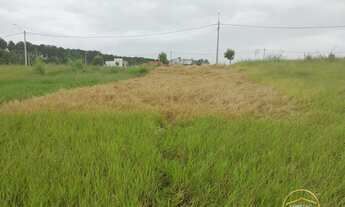 Imagem: O início do seu projeto!